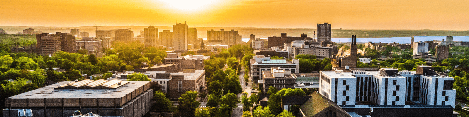 Đại học Dalhousie